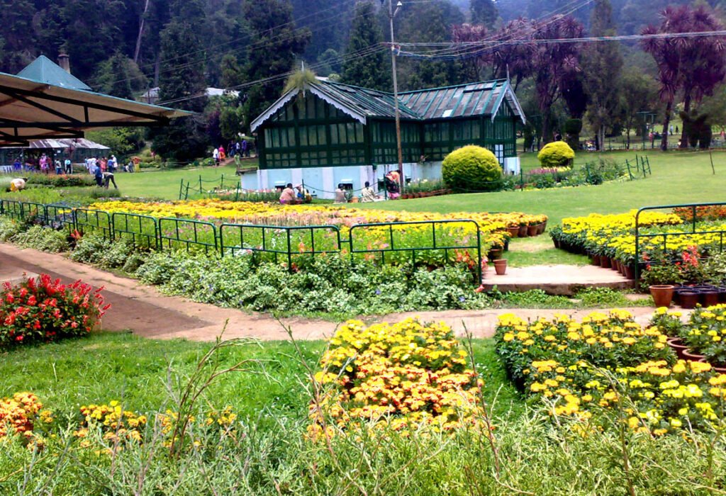 ooty botanical garden
