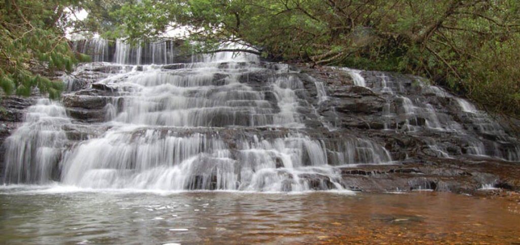 bearfalls