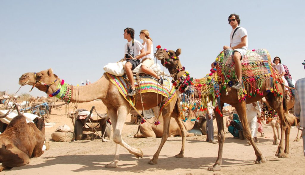 camelsafari