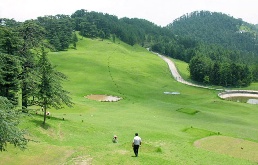 naldehra