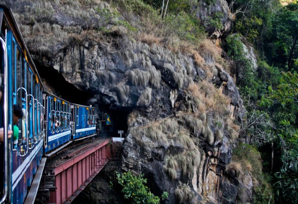 nilgiris