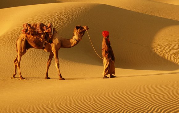 Home rajasthan