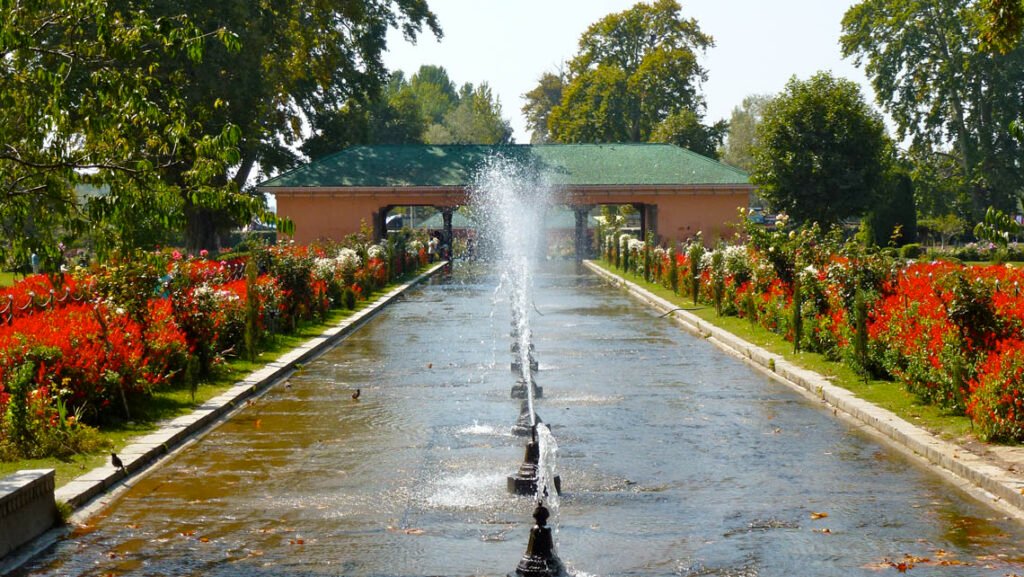 shalimarbagh