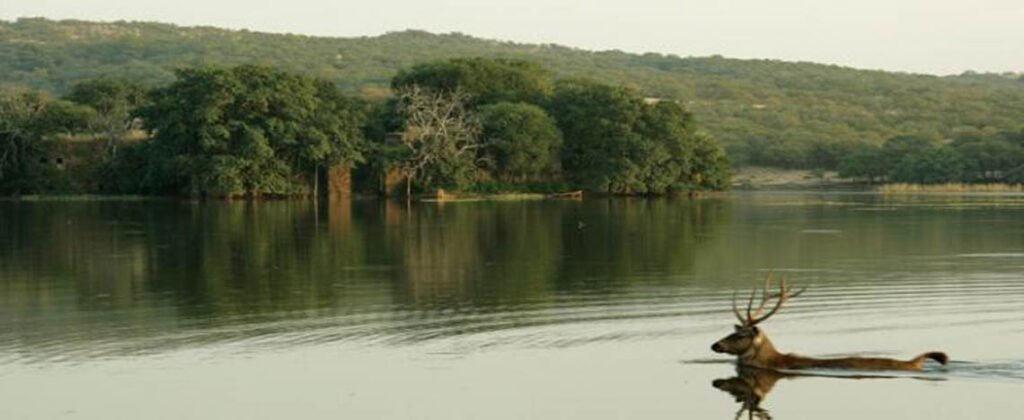 surwallake