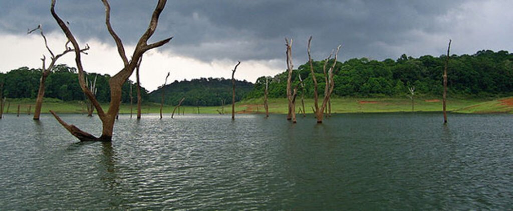 thekkady1