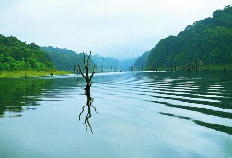 thekkady2