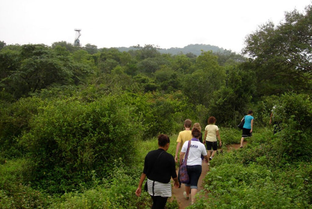 trekking