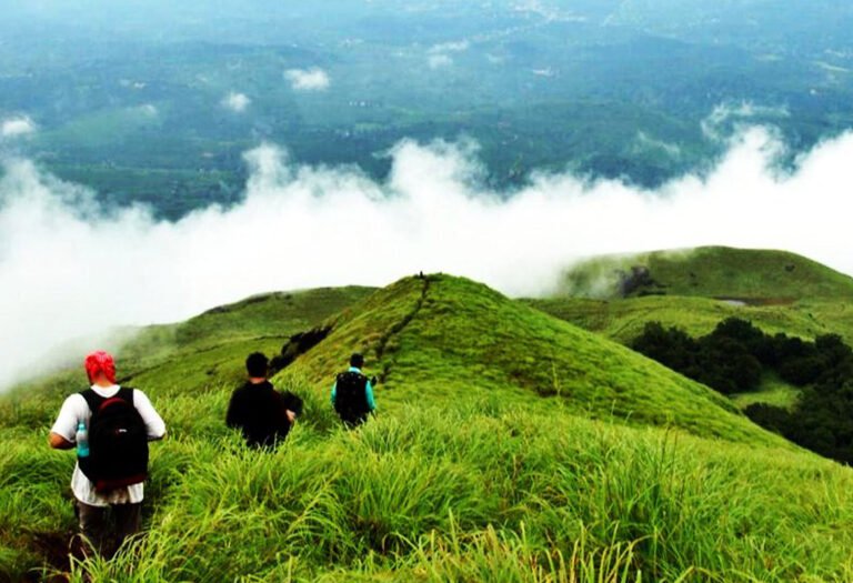 wayanad